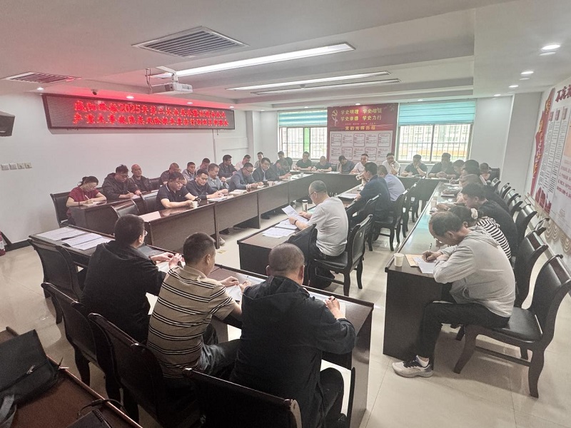 公司召开2025年第二季度安委会暨汛期暑期安全生产重大风险隐患排查整治行动部署会
