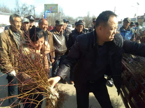 图片5.jpg